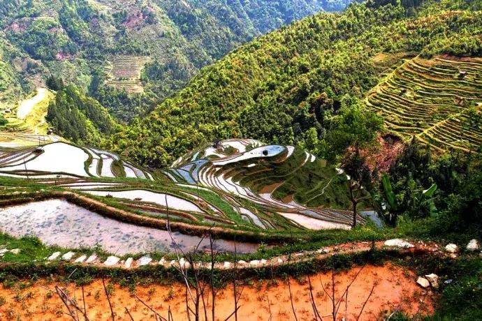 夢幻家園最新破解版，解鎖無限可能，暢享家園樂趣！