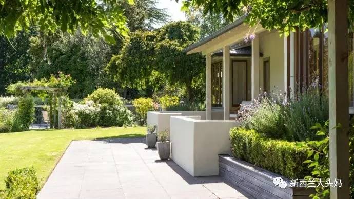 莊園牧場最新動態(tài)，蓬勃發(fā)展中的產(chǎn)業(yè)新動向