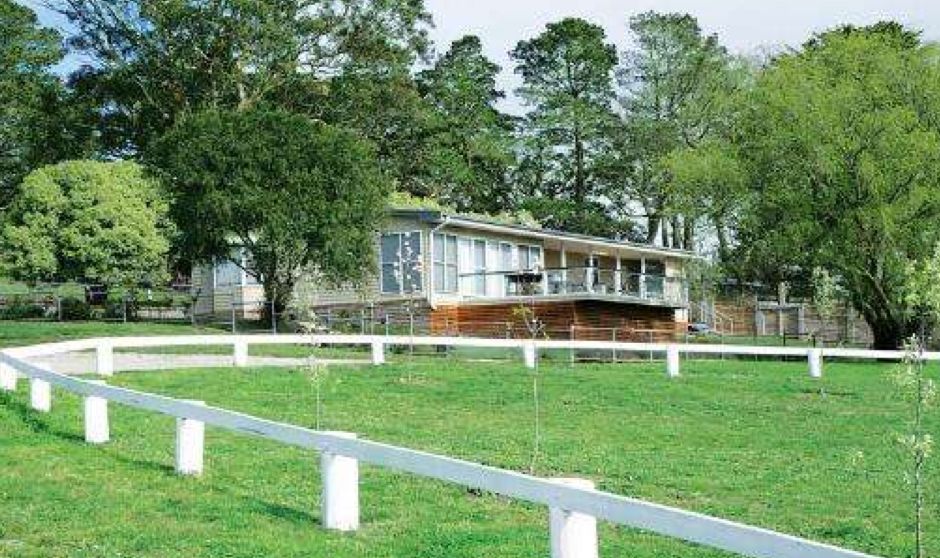 莊園牧場最新動態(tài),蓬勃發(fā)展中的產(chǎn)業(yè)新動向