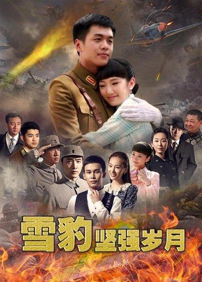 烽火溫情,最新抗戰電視連續劇熱血上映