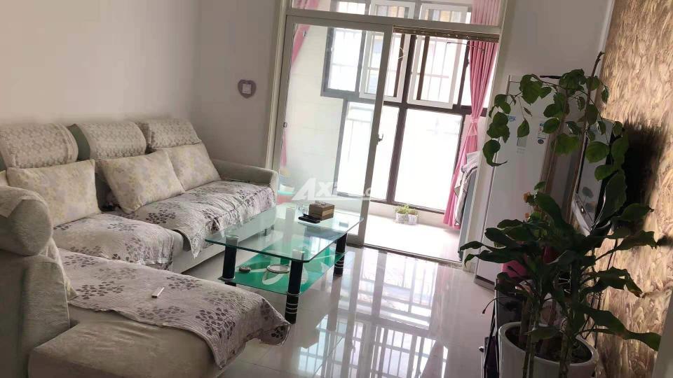 定遠(yuǎn)二手房最新信息全面解讀，掌握最新房源動(dòng)態(tài)！