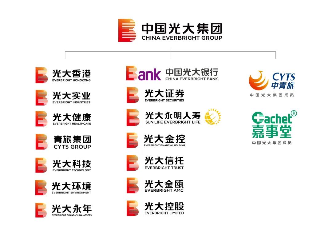 光大最新動態深度解析與觀點闡述