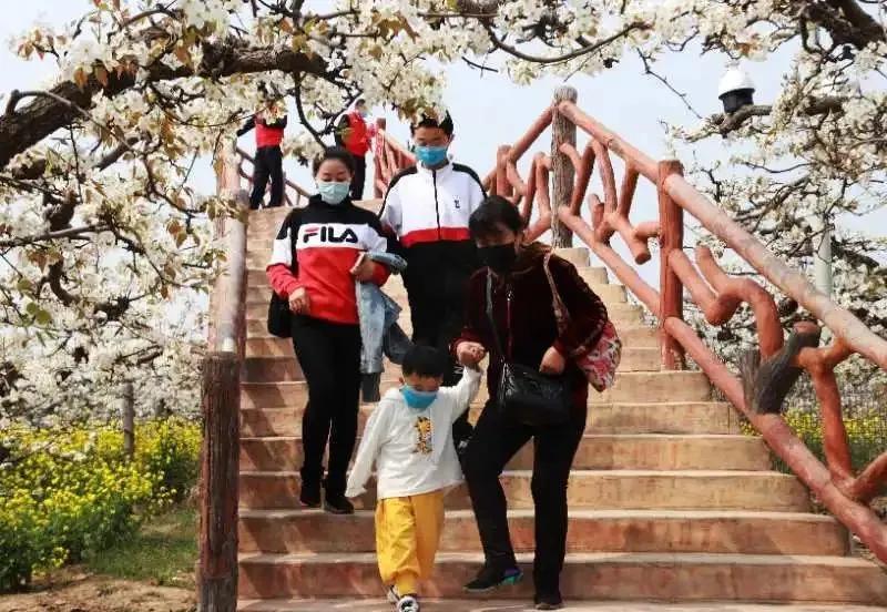 冠縣最新動態，城市發展與民生改善的觀察報告