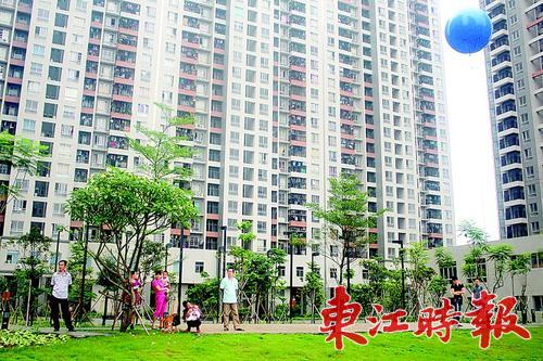 湛江公租房最新動態更新,最新消息匯總