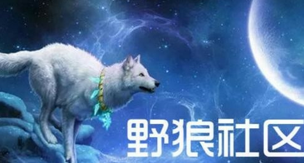 野狼社區最新動態,學習變化,自信塑造未來