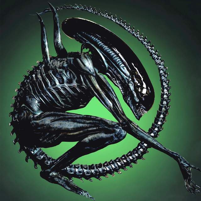 最新異形任務攻略,詳細步驟指南助你輕松完成任務或學習技能