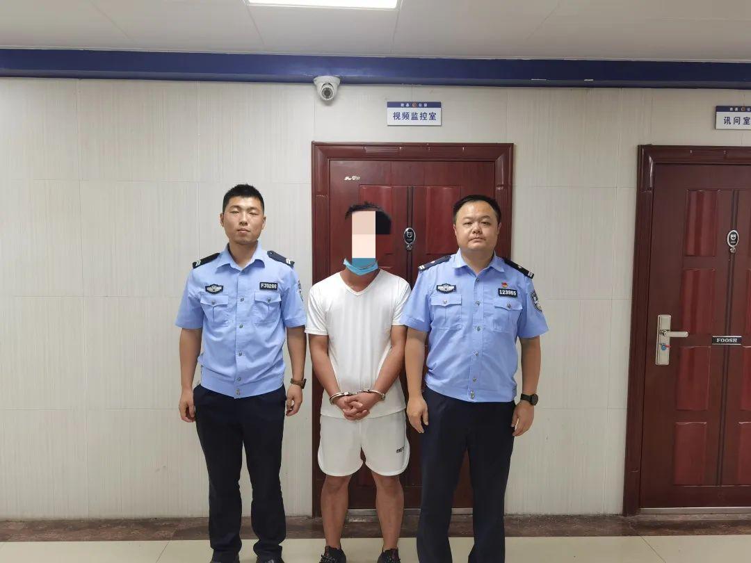 河南最新詐騙揭秘,自然美景背后的探索與警惕