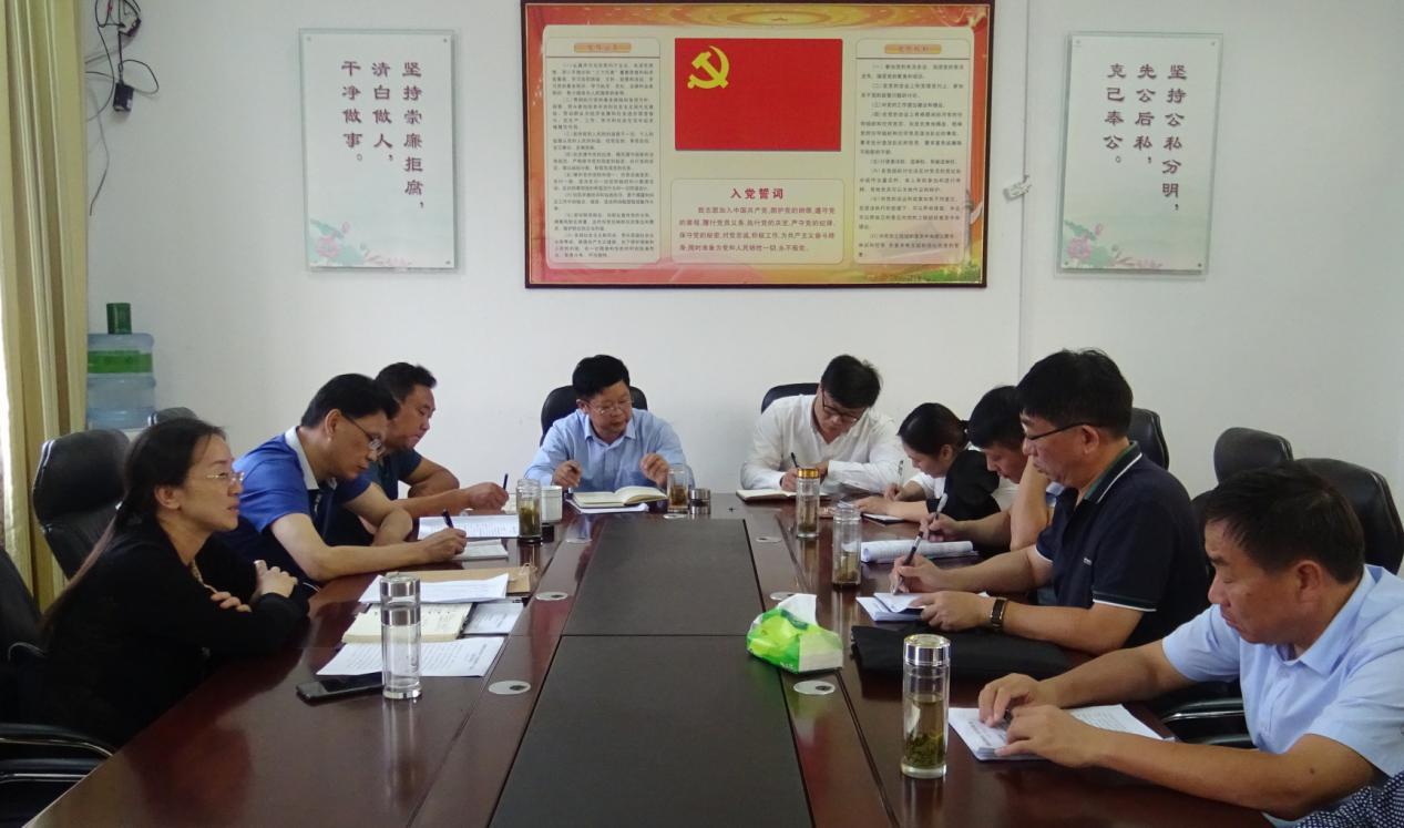 最新巡察報告范文，小巷深處的獨特風味探索之旅