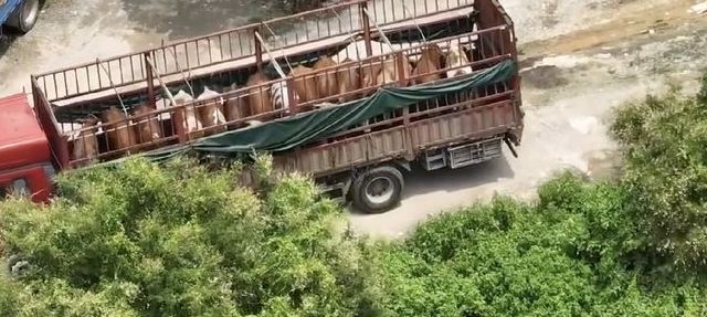 江湖地灘貨最新產(chǎn)品，時(shí)代變遷中的獨(dú)特印記展現(xiàn)