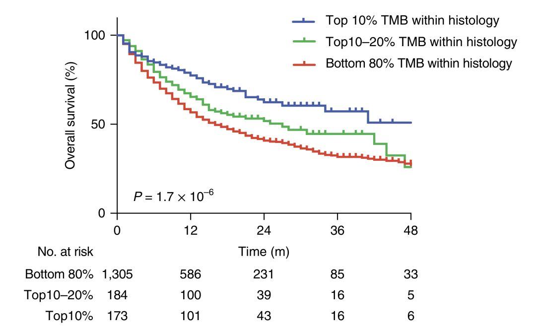 免疫治療最新重大突破，步驟指南與突破詳解