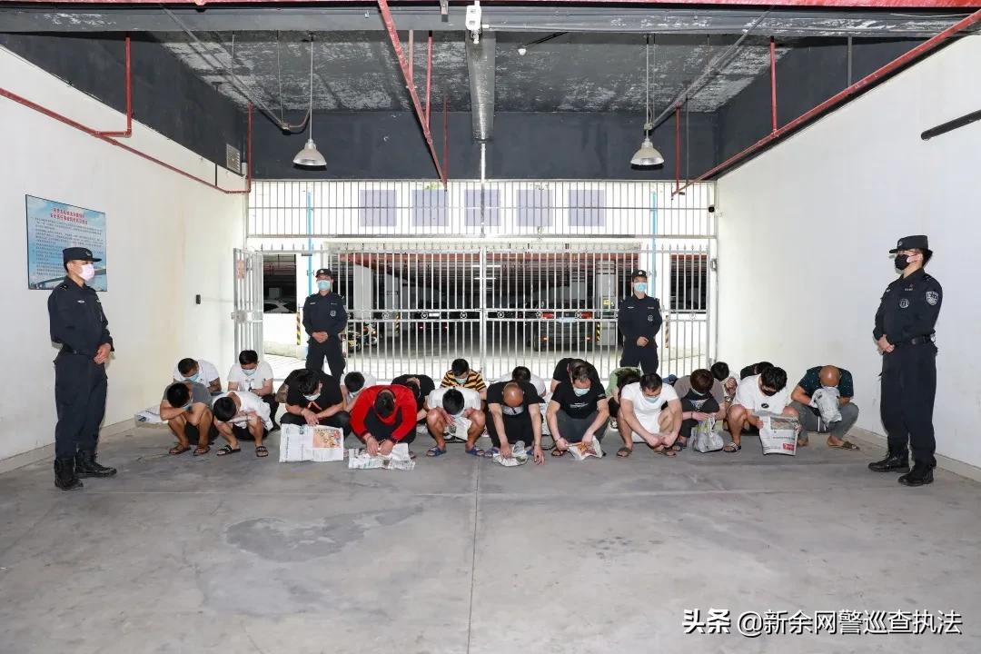 海口世紀98最新jd2025追夢之旅，學習成就未來之路