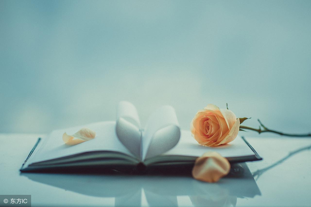 執愛成灰最新更新,學習變化帶來的自信與成就感提升之路