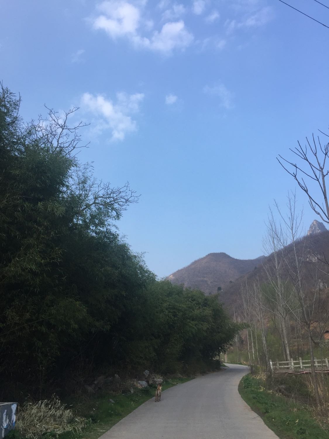 欒川今日天氣預(yù)報(bào)更新,天氣狀況及預(yù)報(bào)信息???