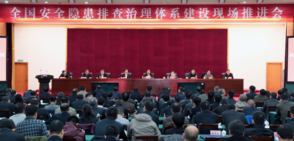 李兆前副局長(zhǎng)最新動(dòng)態(tài)揭秘,日常趣事與情感紐帶探秘