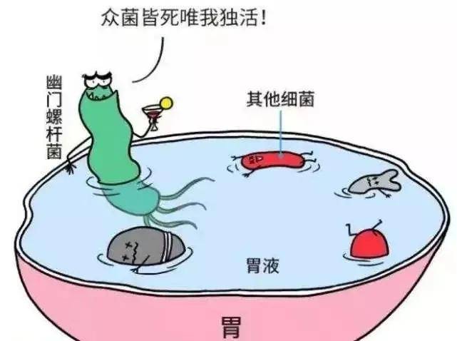 幽門螺桿菌最新治療方法揭秘，小巷深處的神秘診所探索