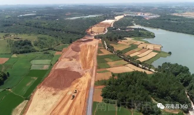 石崗鎮最新動態速遞,關注最新消息??????