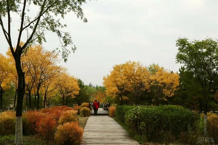 五A添盛坊青稞原漿 第174頁