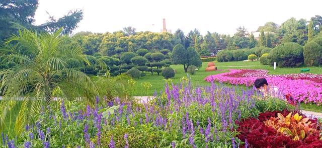 大同公園一號(hào)最新動(dòng)態(tài)揭秘,進(jìn)展、影響與各方觀點(diǎn)綜述