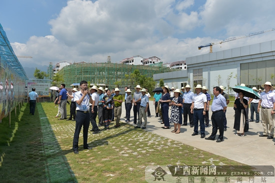 上林網新聞最新消息及步驟指南,適合初學者與進階用戶全面解析