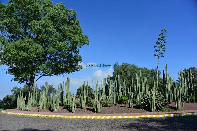 成都日月大道最新動態與詳細步驟指南