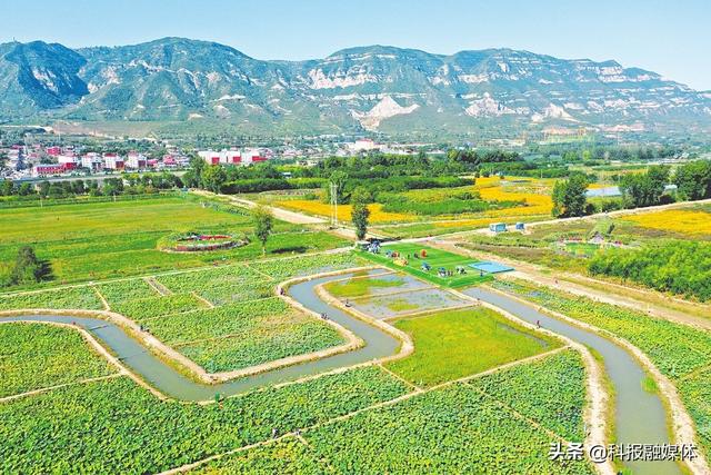 太原呼延村最新脈動,巷弄深處的獨特風采