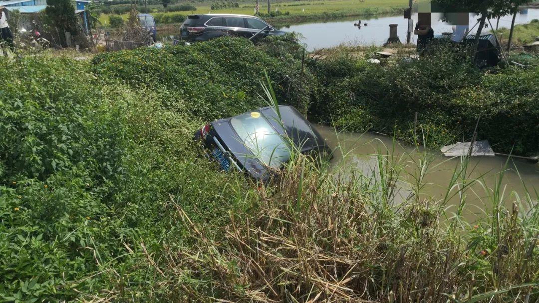 中山三鄉司機招聘，日常奇遇與友情紐帶的探索