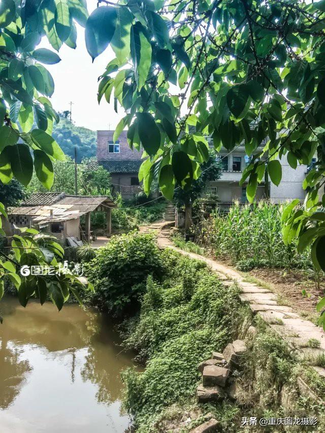 北碚歇馬最新招聘，引領(lǐng)科技潮流，智能生活職業(yè)新起點