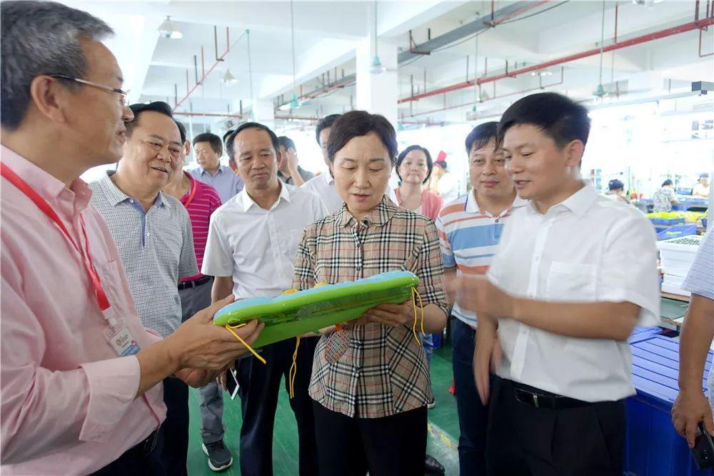 湘南大市場最新情況詳解,市場更新指南