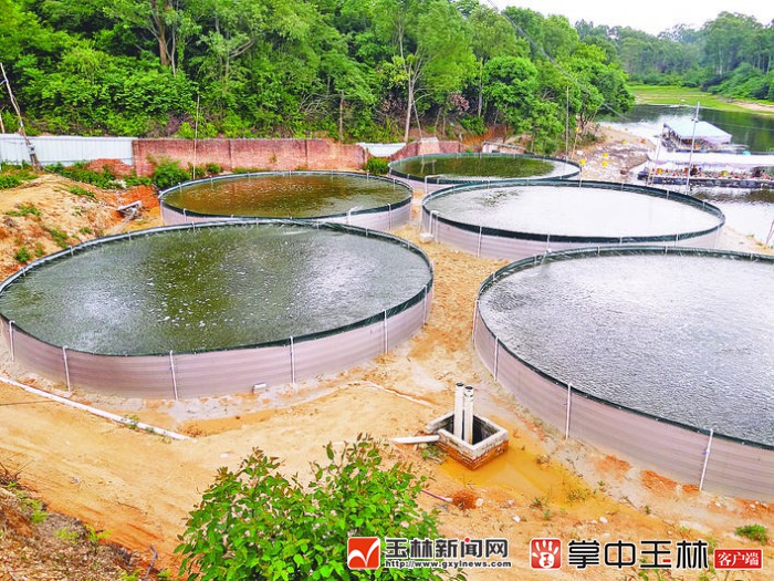 最新式高位池排污技術揭秘,綠色環保新選擇!