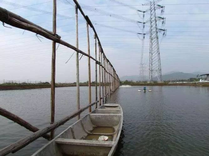 最新式高位池排污技術揭秘,綠色環保新選擇!