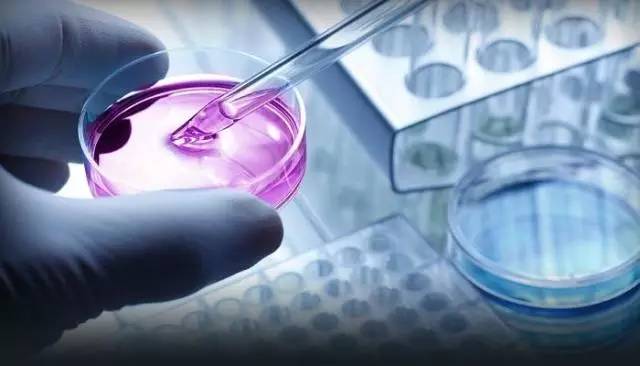 丙肝中國新藥最新動態與論述，進展與前景展望