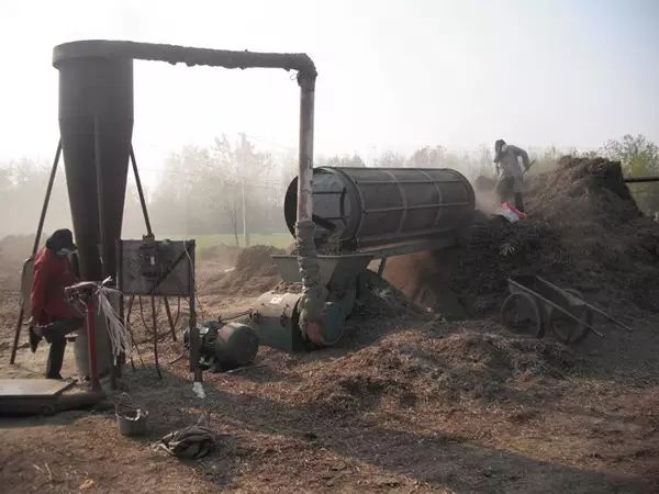 探尋小巷秘寶,揭秘花生秧價格與獨特小店的奇妙邂逅