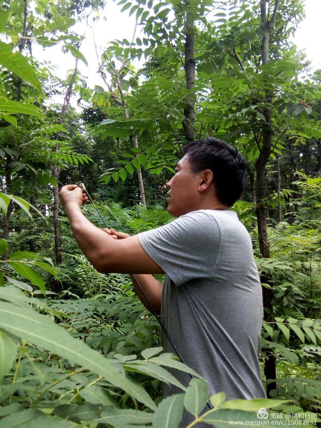 ??淄川區(qū)昆侖鎮(zhèn)最新發(fā)展規(guī)劃揭秘??