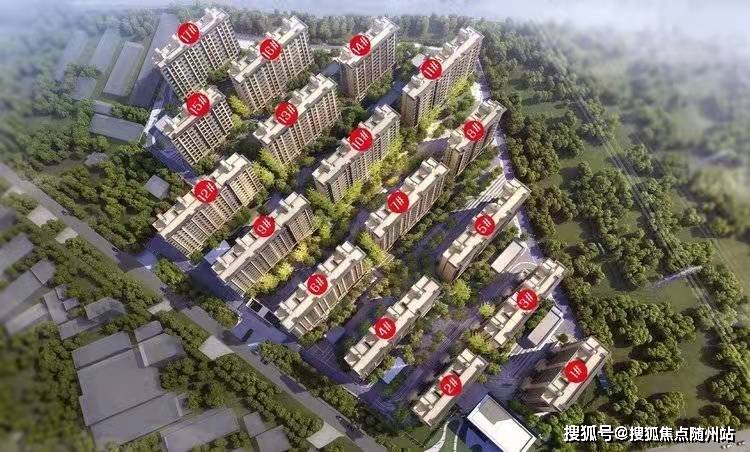 彭兆豐最新動態,技能提升與任務完成指南