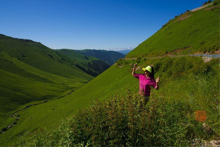 G217國道最新路況詳解與觀點論述