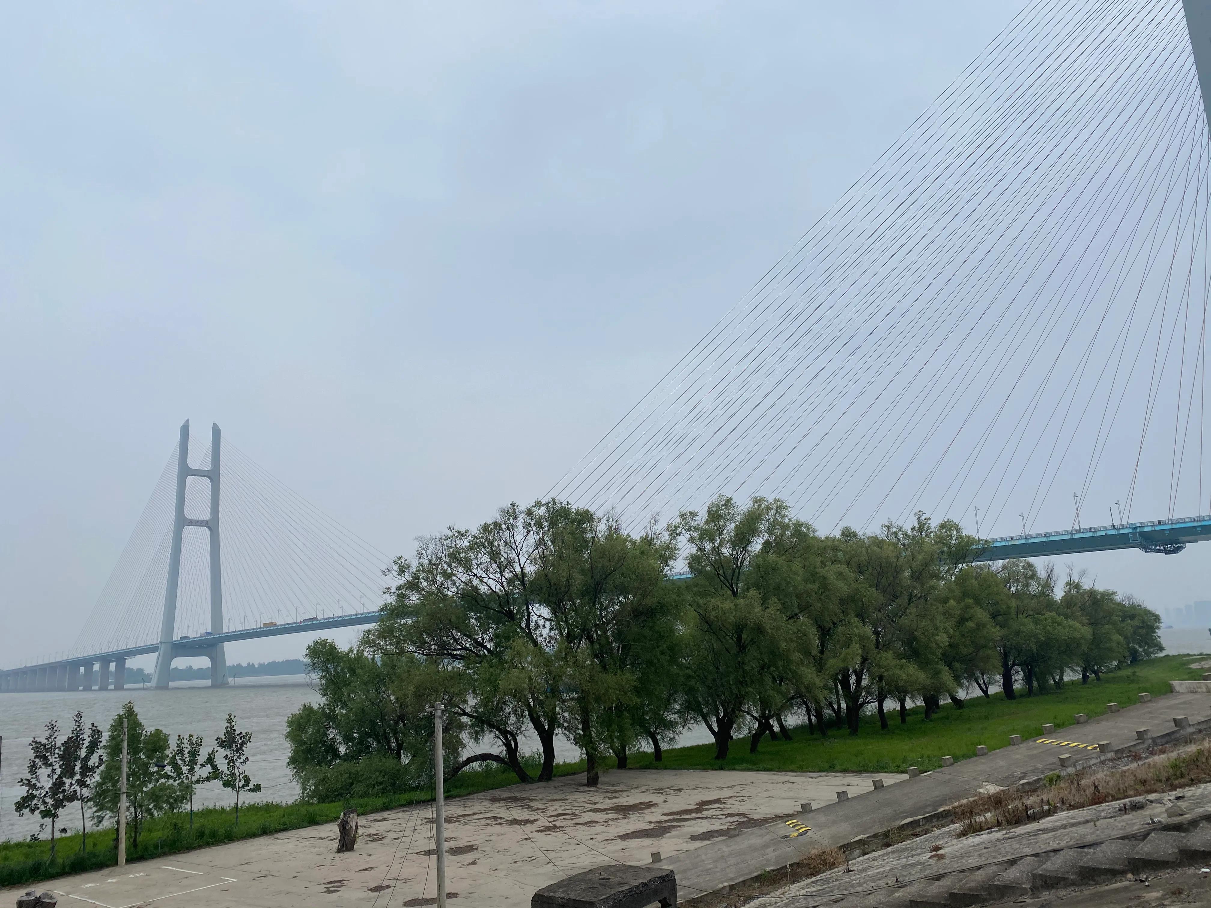 長江碼頭治理最新動態更新,關注治理進展,掌握最新消息