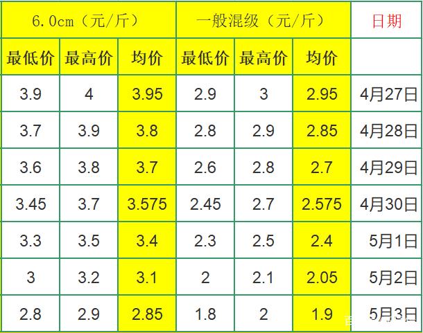 山東大祘最新價格行情詳解,獲取與解讀大蒜價格信息的指南