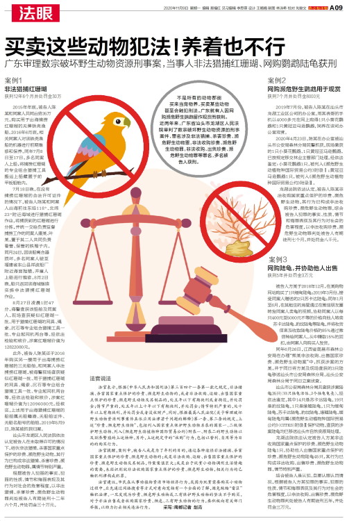 關于偷牛行為的最新法律及步驟指南