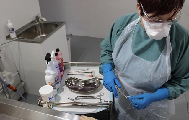 成都洗碗工楊思惠，洗滌之旅與自然美景探索之旅