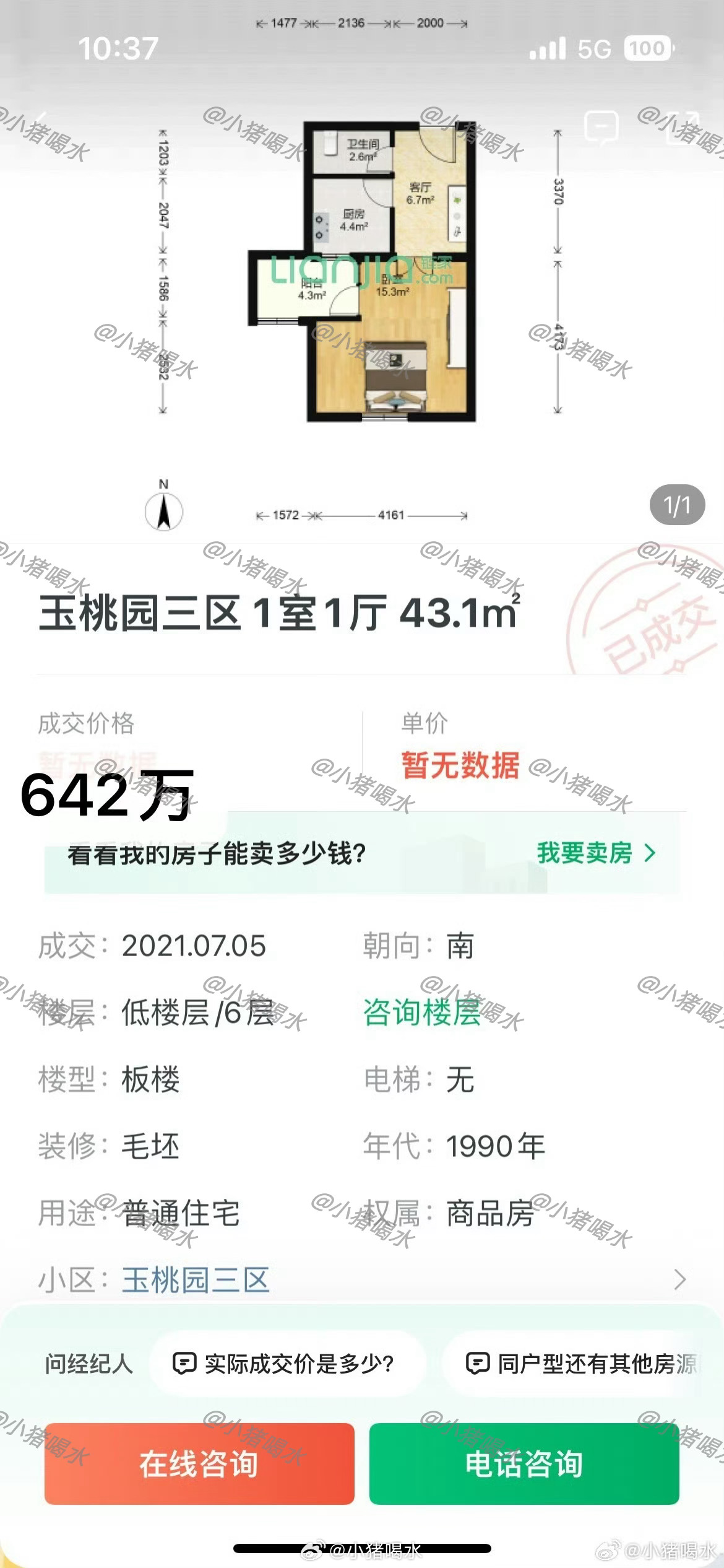 太玉園最新動態速遞,最新消息匯總????