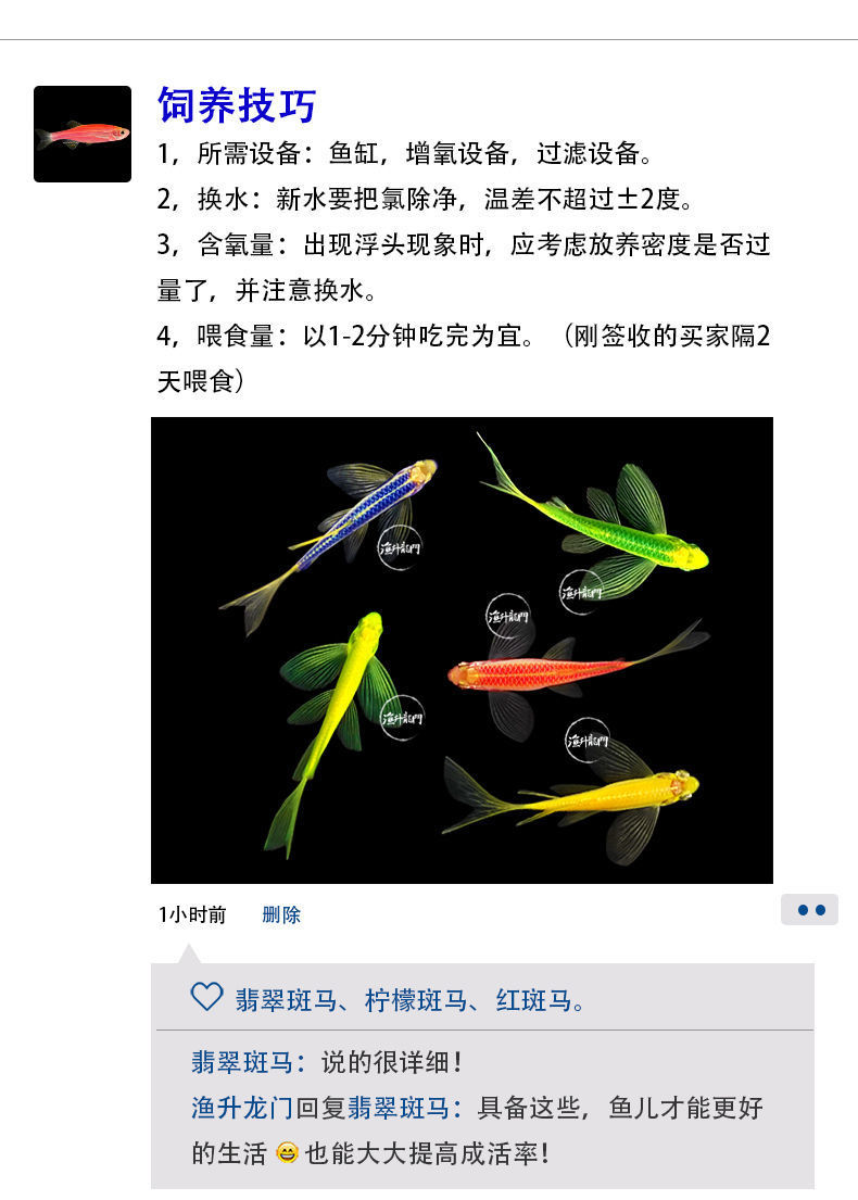 養(yǎng)畫眉鳥最新養(yǎng)殖技術揭秘,日常趣事與養(yǎng)殖技巧分享