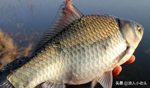 金華江北江南科技革新兼職新紀元