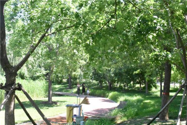 東莊水庫最新移民選址探討,選址更新與影響分析