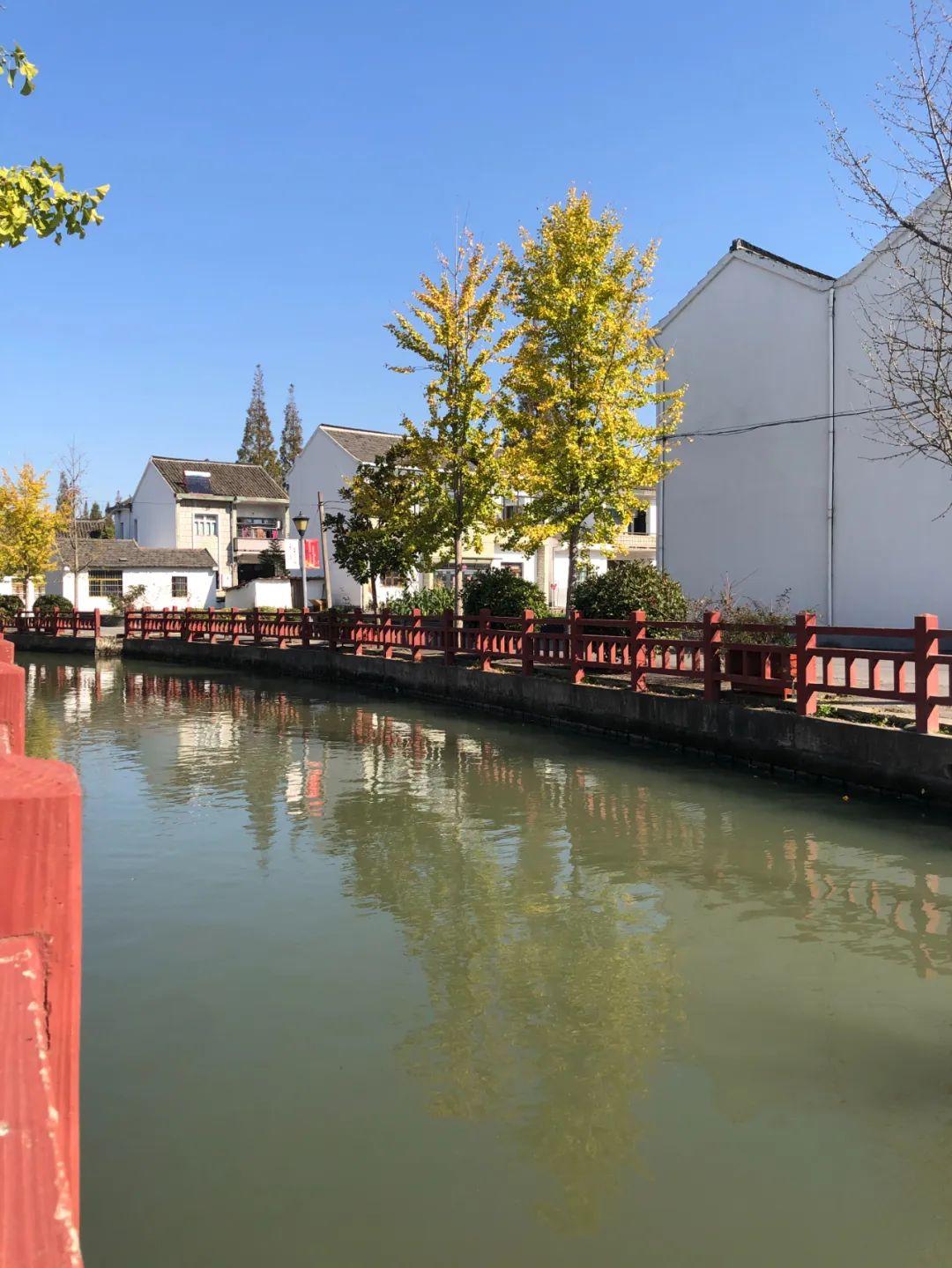 松江石湖蕩鎮(zhèn)未來繁榮藍(lán)圖規(guī)劃揭秘