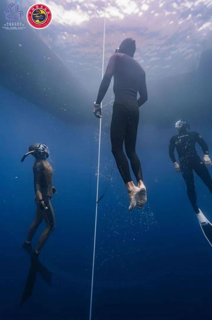 自由潛水最新世界紀(jì)錄，深海奇趣之旅與友情之力的挑戰(zhàn)