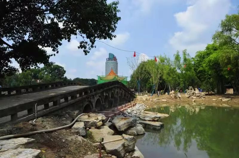 濟南北湖公園最新動態(tài)揭秘,湖畔溫馨日常新篇章開啟