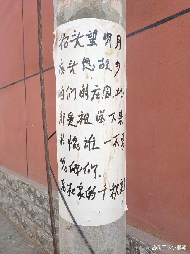 五A添盛坊青稞原漿 第158頁