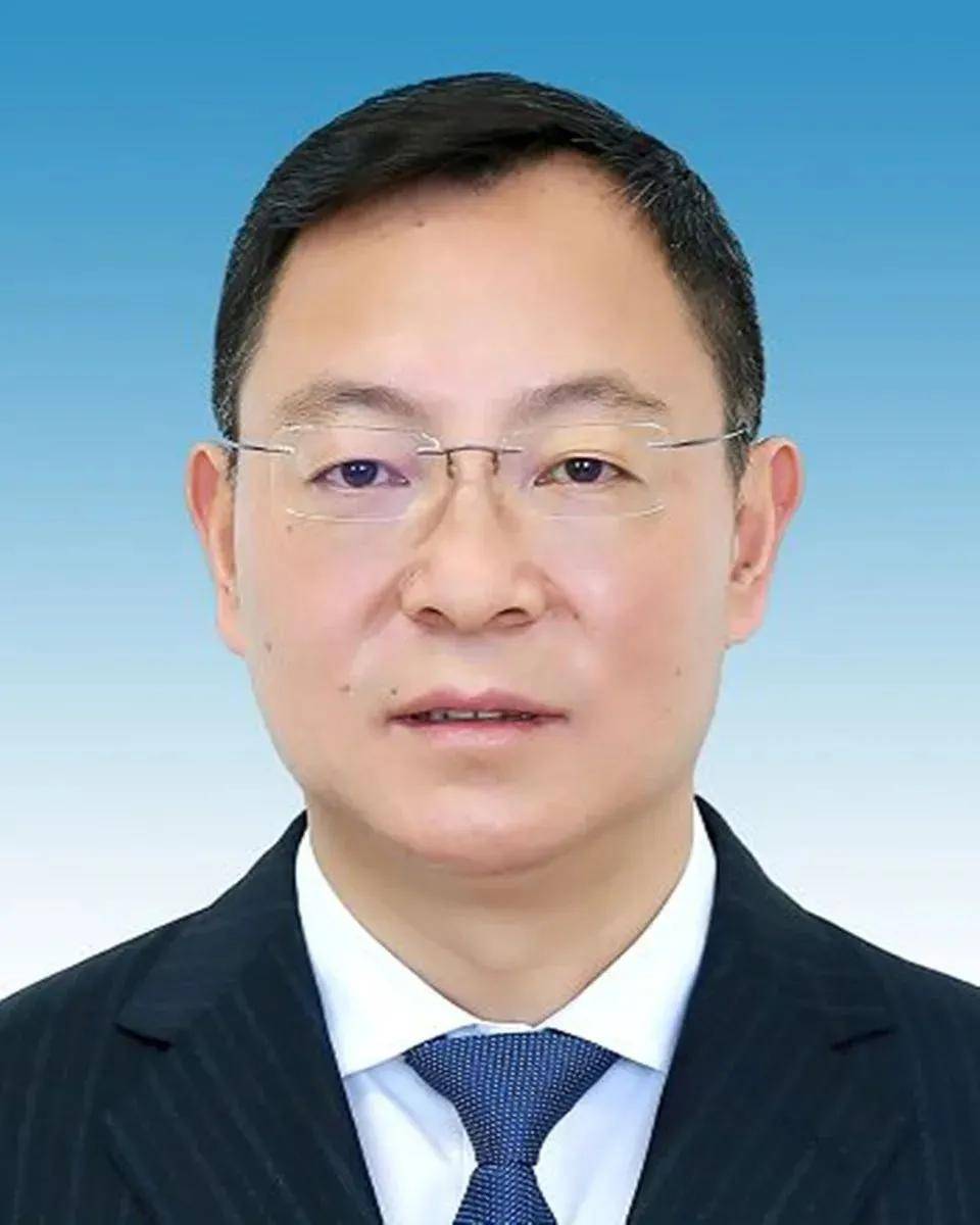 云南省委常委分工最新揭秘,小巷深處的獨特風味與領導職責概述