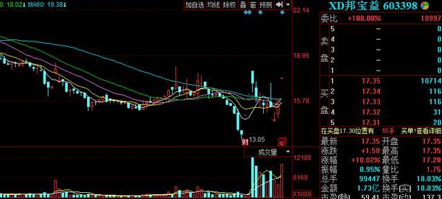 深深寶重組最新動態,探秘小巷深處的獨特風味