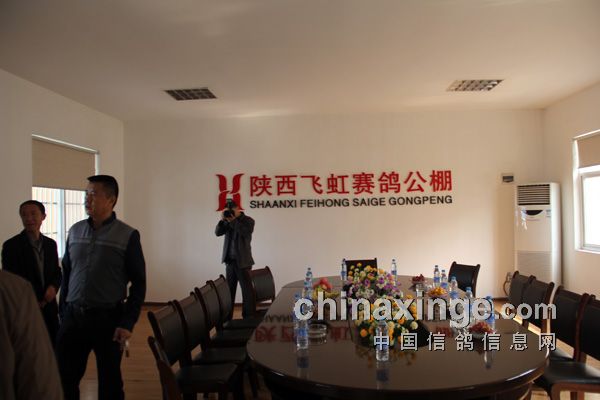 萬佳公棚最新公告發布，內容亮點搶先看?